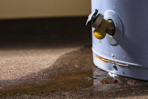 Best Sewage cleanup and water damage restoration  in Leisure City, FL