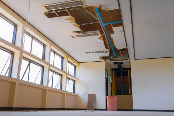 Best Mold removal after water damage  in Leisure City, FL