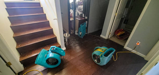 Best Water damage cleanup near me  in Leisure City, FL