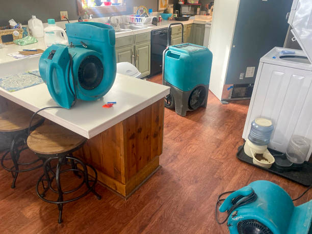 Best Flooded house restoration  in Leisure City, FL