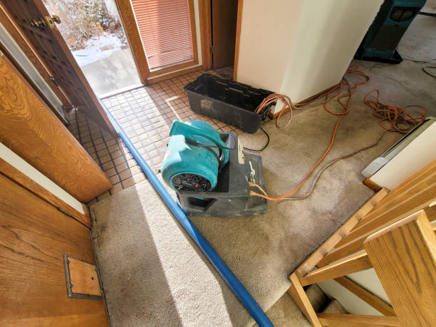 Best 24-hour water damage restoration  in Leisure City, FL