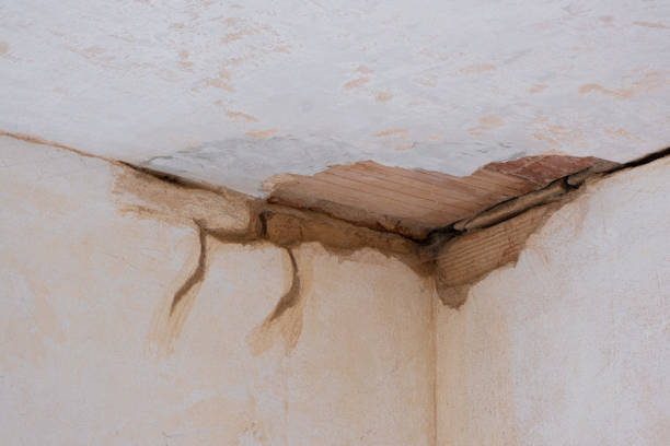 Best 24-hour water damage restoration  in Leisure City, FL
