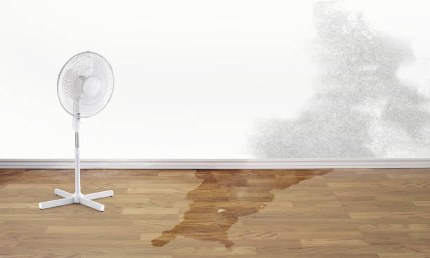 Best Residential water damage restoration  in Leisure City, FL