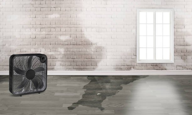 Best Water damage restoration services  in Leisure City, FL