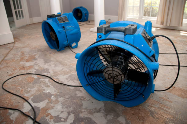 Best Flood restoration services  in Leisure City, FL