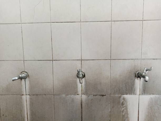 Best Water damage contractors near me  in Leisure City, FL