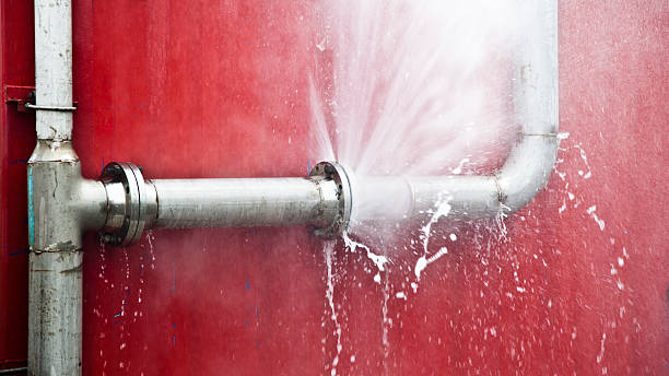 Best Local water damage restoration  in Leisure City, FL