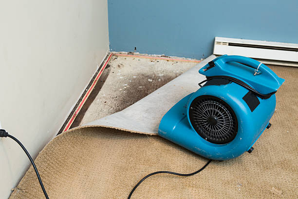 Best Residential water damage restoration  in Leisure City, FL